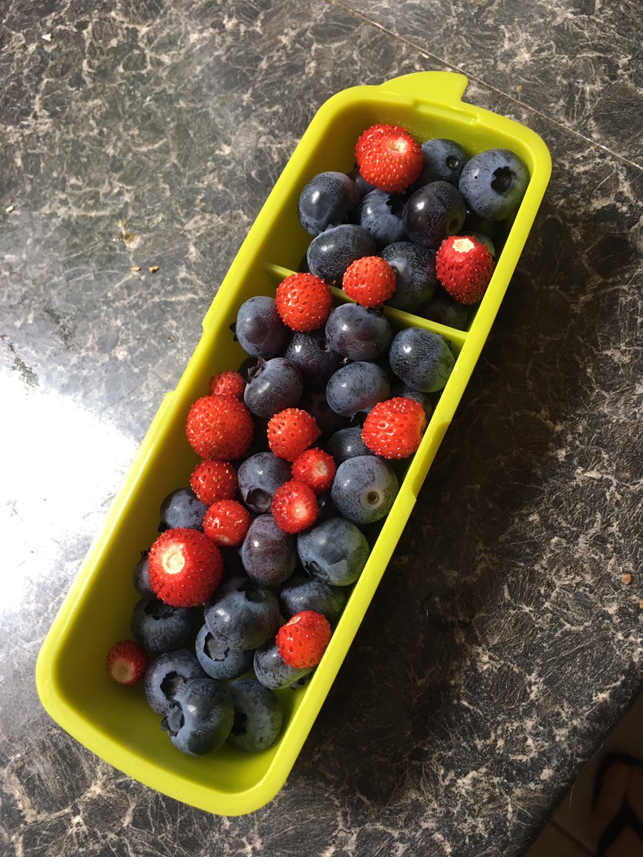 Nothing more satisfying than harvesting your home grown produce, will go nice with some yoghurt later #homegrown #fruit #gardening #slimmingworld