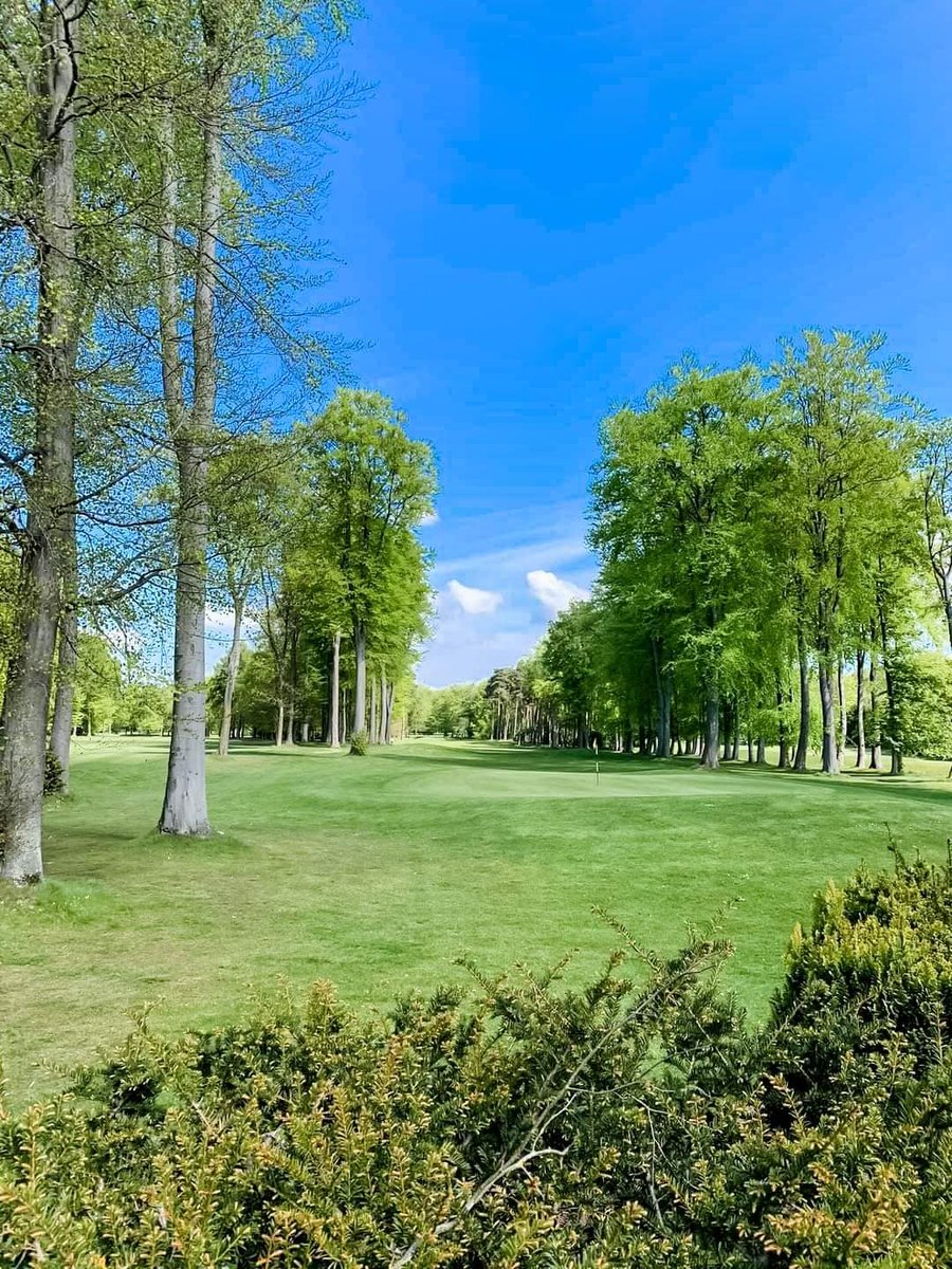 Did you know you can now book tee times online? 😱

Whether you're planning ahead or looking for a last minute tee time, our new booking engine is simple, quick and easy to use 😊

Visit our website for more information:
forestpineshotel.co.uk/golf/