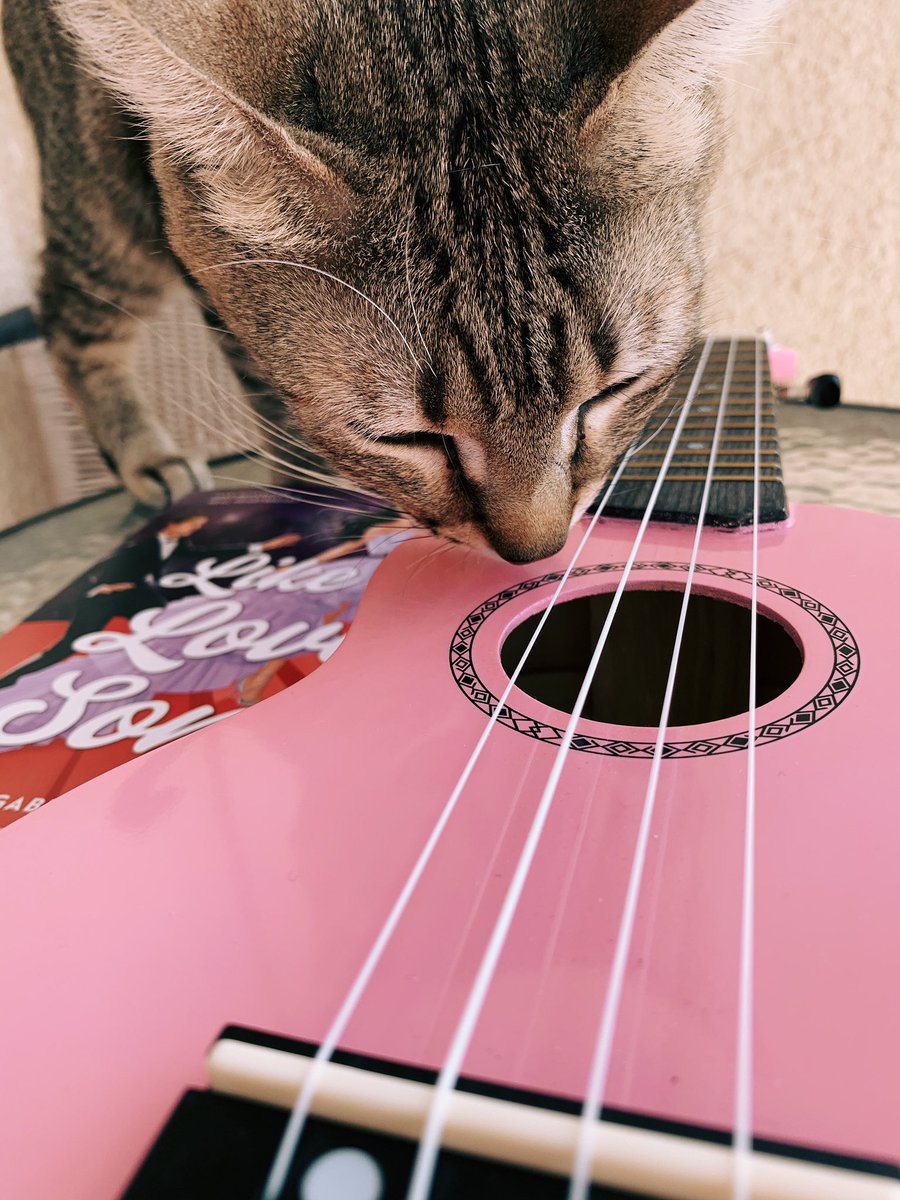 gabhimartins's tweet image. to celebrate that now we’re in the single digits... NINE (09) DAYS TO LIKE A LOVE SONG! time for another giveaway*, right? 🌞🌸

• RT+F
• ships where BD ships + Brasil always
• one winner
• ends on 8/29

* cat and ukelele not included.