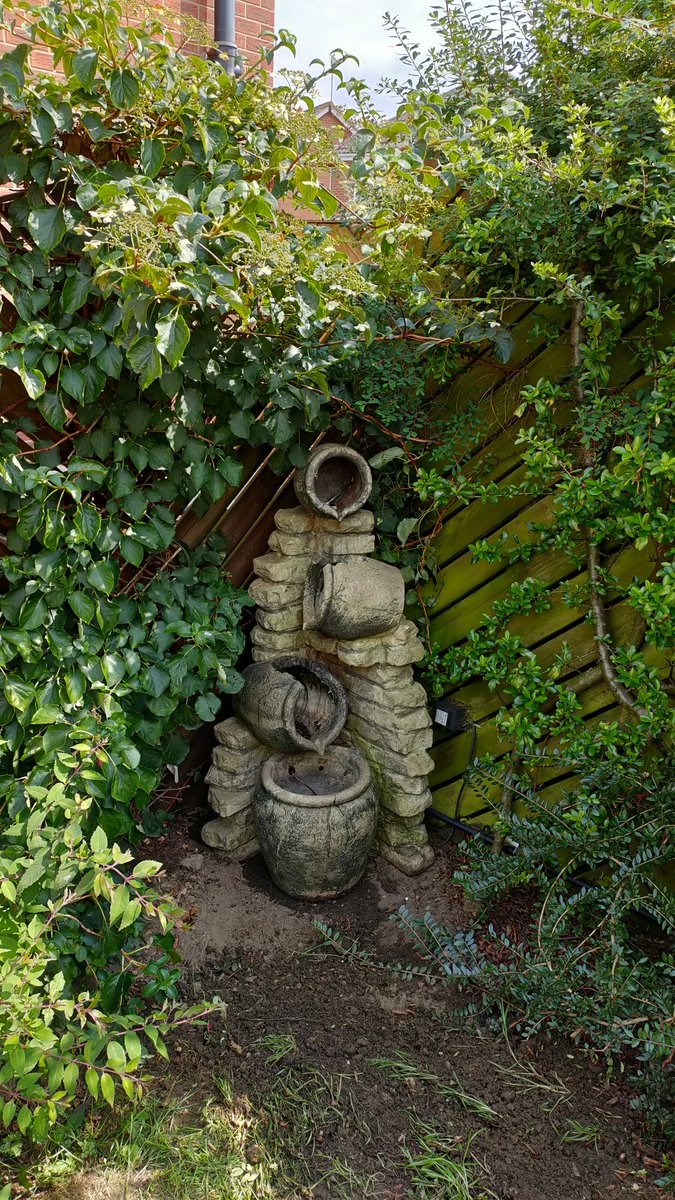retsofnosila's tweet photo. A dark, shaded corner of our garden that's been hidden for years due to neglect got tidied up today... after removing the rotting, maggoted corpse of a rat.... π₯΄π
#Gardening #ServesMeRight #LoveWhereYouLive #365DaysWild https://t.co/RtXdoJVKL9
