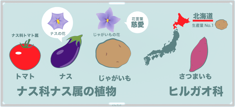 イラレブック Eikyuhozonbann Twitter