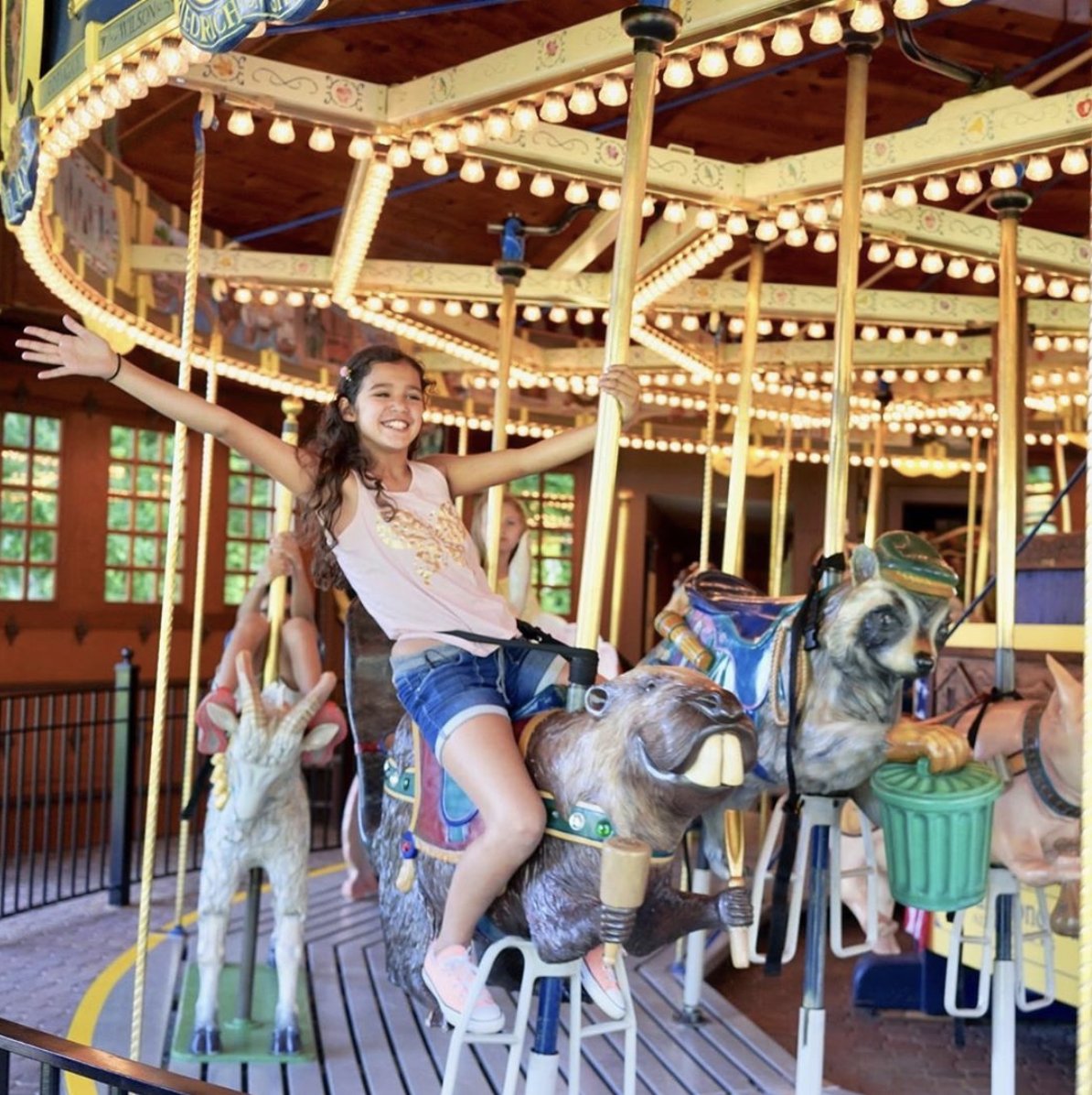 Paperkite tweet media