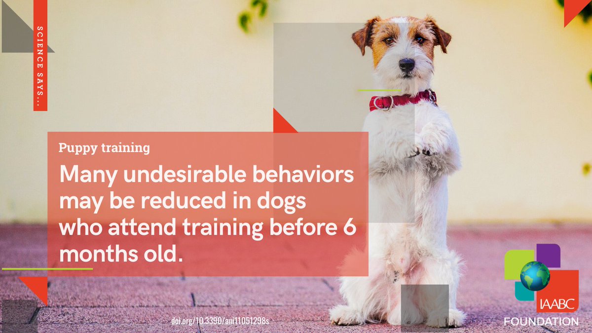iaabc's tweet image. It's Science Says Sunday! We all know the importance of proper socialization during a puppy's sensitive period. Does training during this period have an impact on a dog's behavior later in life?
doi.org/10.3390/ani110…