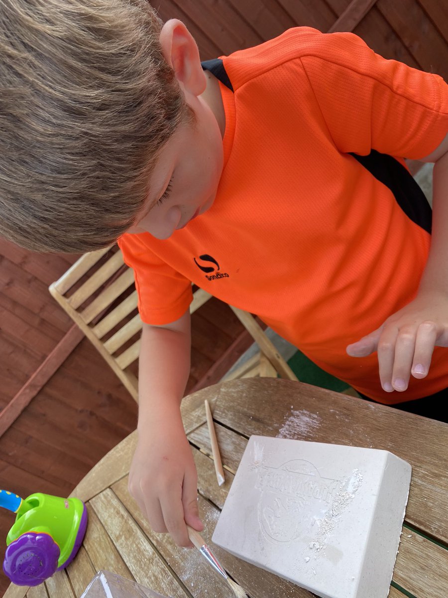 Sara_Williams85's tweet image. @ClassFirecrest We’ve spent this afternoon making a dinosaur garden and finding fossils. 🦕 🦖