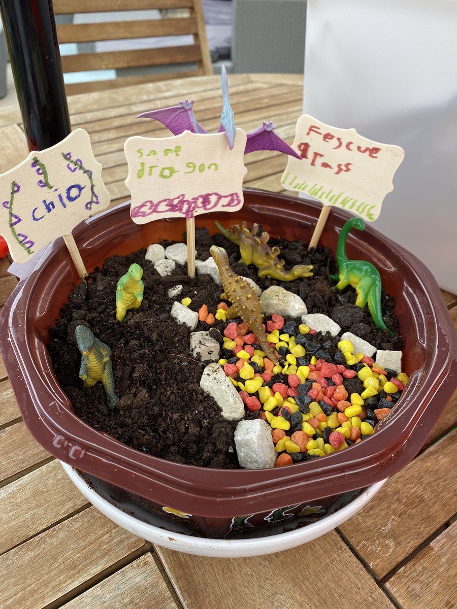 Sara_Williams85's tweet image. @ClassFirecrest We’ve spent this afternoon making a dinosaur garden and finding fossils. 🦕 🦖