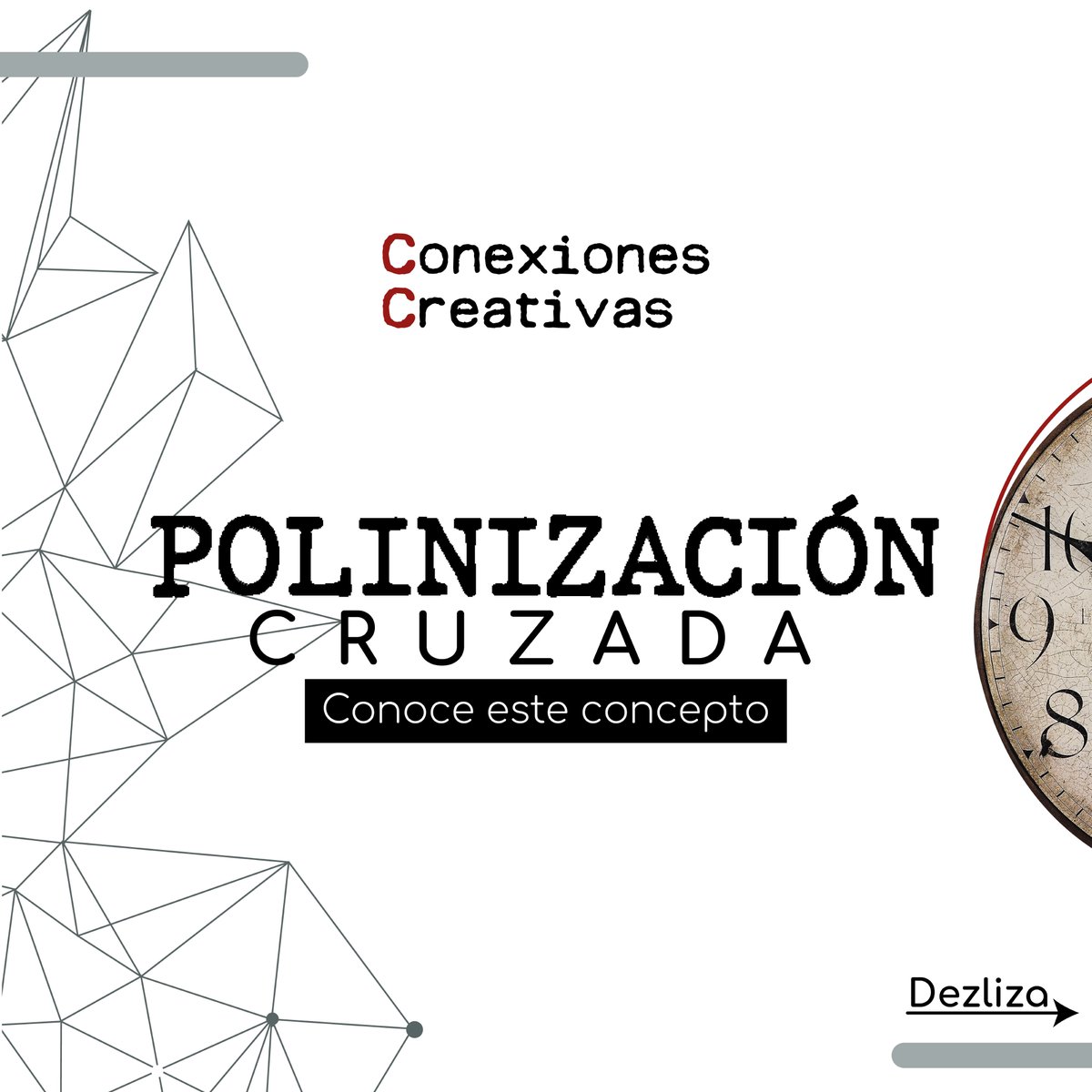 CCCreativas's tweet photo. ¿Qué es la polinización cruzada?
#ConexionesCreativas #buenaenergia #education #creatividad #network #networking #estrategia #expertos #economiacreativa #iberoamerica #conexiones #emprender #empresas #consultoria #liketobusiness #ecosistemacreativo #EcosistemaArte #masterclass https://t.co/tEWYzc2jh7