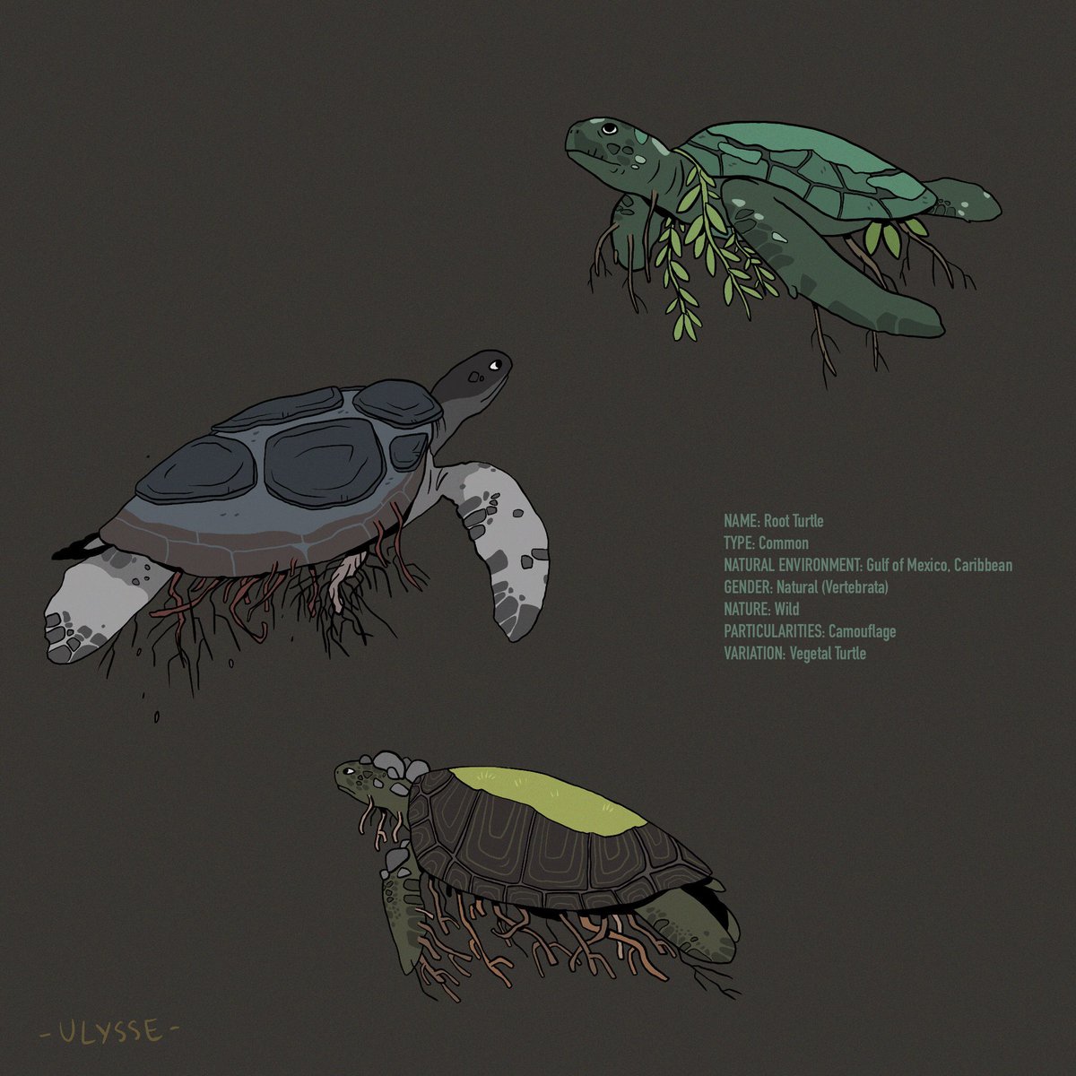 Left: old and first drawings for the beastiary (2019!)
Right: recents drawings with redesign or at least amelioration

Good to see progression, more maturity in this (big) project with around 230/250 species (I have to refresh my list). 