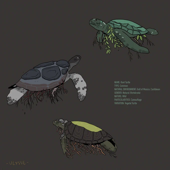 Left: old and first drawings for the beastiary (2019!)
Right: recents drawings with redesign or at least amelioration

Good to see progression, more maturity in this (big) project with around 230/250 species (I have to refresh my list). 