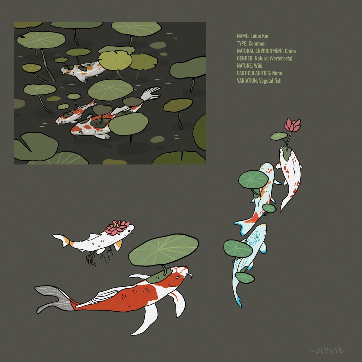 Left: old and first drawings for the beastiary (2019!)
Right: recents drawings with redesign or at least amelioration

Good to see progression, more maturity in this (big) project with around 230/250 species (I have to refresh my list). 