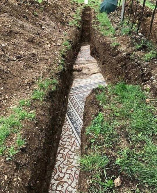 AcademiaAesthe1's tweet photo. The past is buried all around us.

Ancient Roman mosaic discovered under a vineyard in northern Italy. https://t.co/i5zxDYQAub