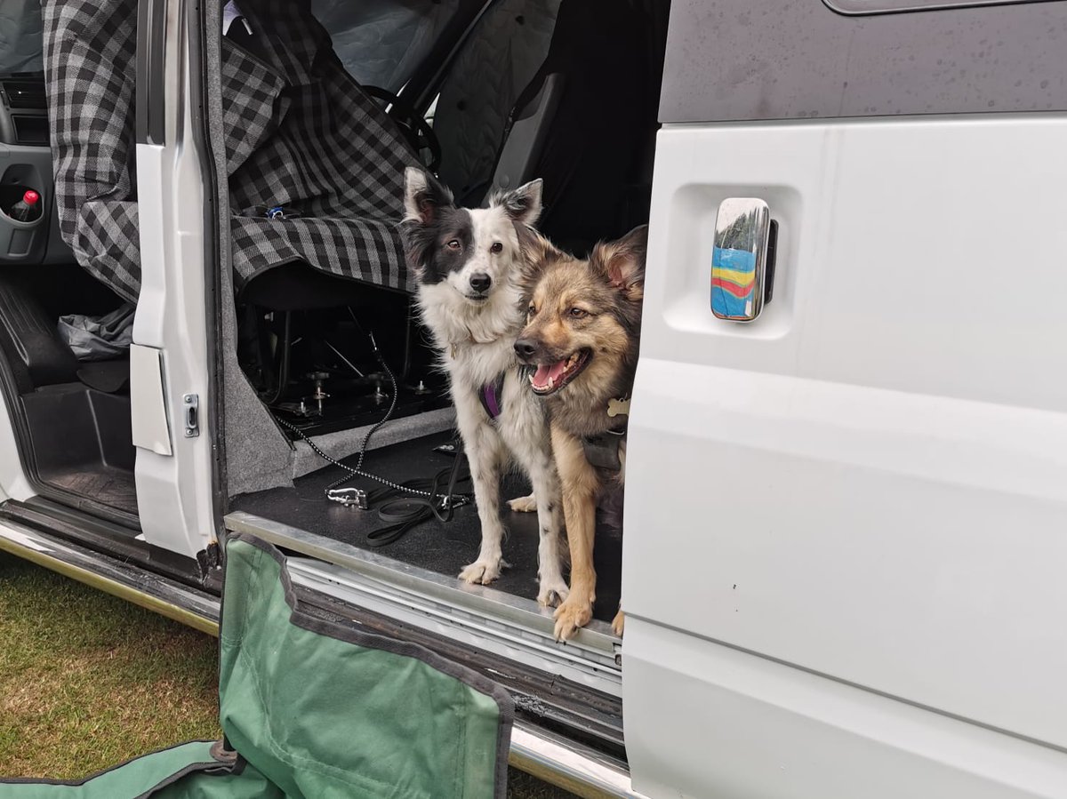 CandiPoppy's tweet photo. Hoomans bought a van, and we went on our first road trip this weekend. Lots of sunbathing and playing on the beach #dogsoftwitter #vandogs https://t.co/6RVj6uF6Bq