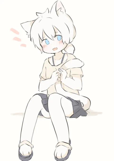 シロネコくん 