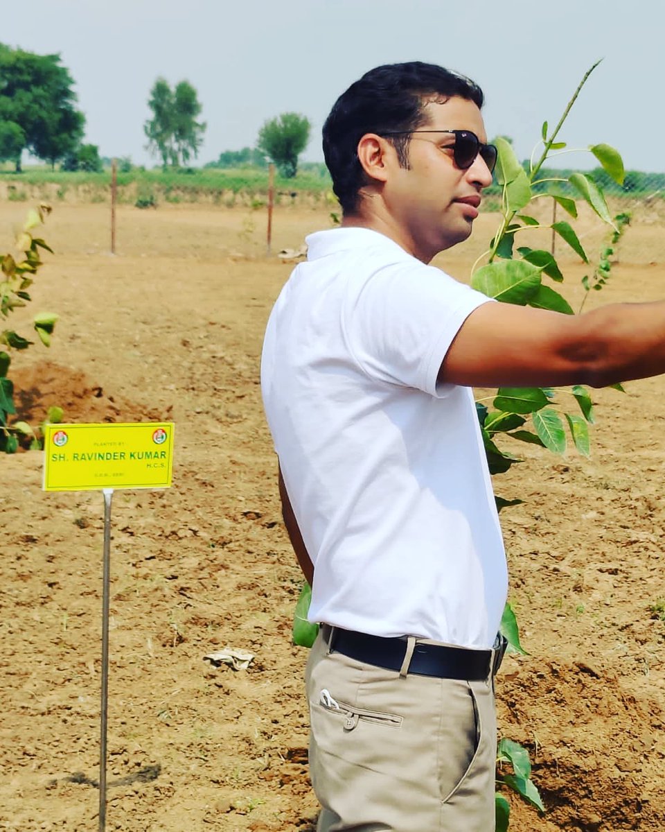 RKNarnolia's tweet photo. A great initiative by Worthy DC @ishyampoonia in Jhajjar District i.e. Oxygen Bagh at Kharhar village Bahadurgarh with support from @AravaliPower @ntpclimited @treemandevender 
#EcoRest
#DecadeofEcosystemRestoration 
#GenerationRestoration 
#OxyVan 
#OxygenBagh 
Kudos 👍👏 https://t.co/uBJj4tJcZ7