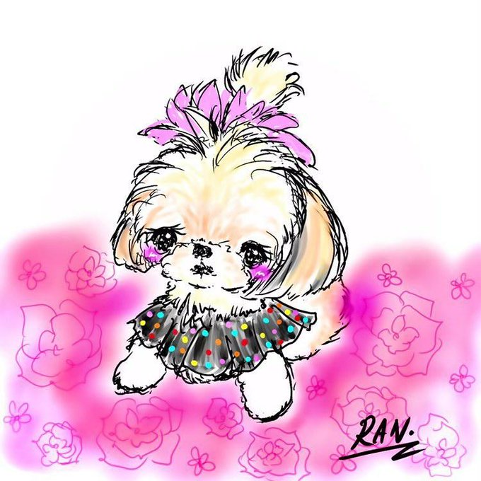 わんちゃんのtwitterイラスト検索結果 わんちゃんのtwitterイラスト検索結果