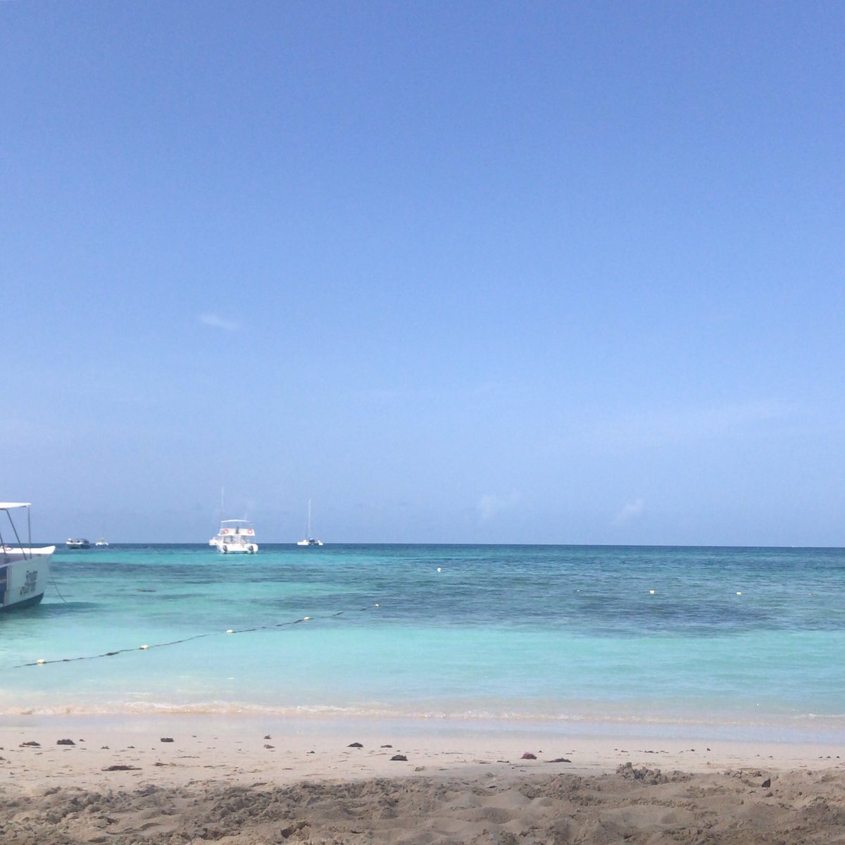 There's a “before Liz and after Liz” when I describe my creative moments. Before her, I'd sense an idea approaching and, instead of dropping whatever I was doing to write it down, I'd stay in the moment, and the idea would pass by me. Now, the idea matters more. #BeachThoughts