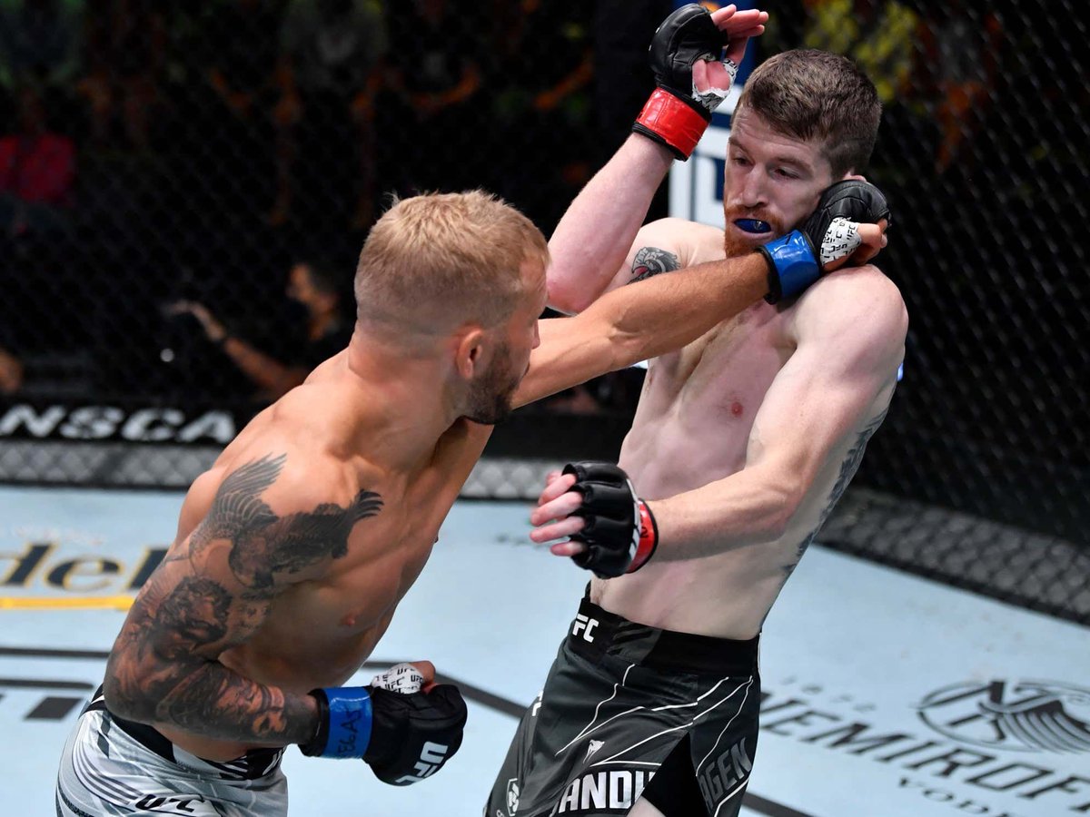 TJ Dillashaw Edges Out A Gritty W In His Return To The Octagon https://bars...