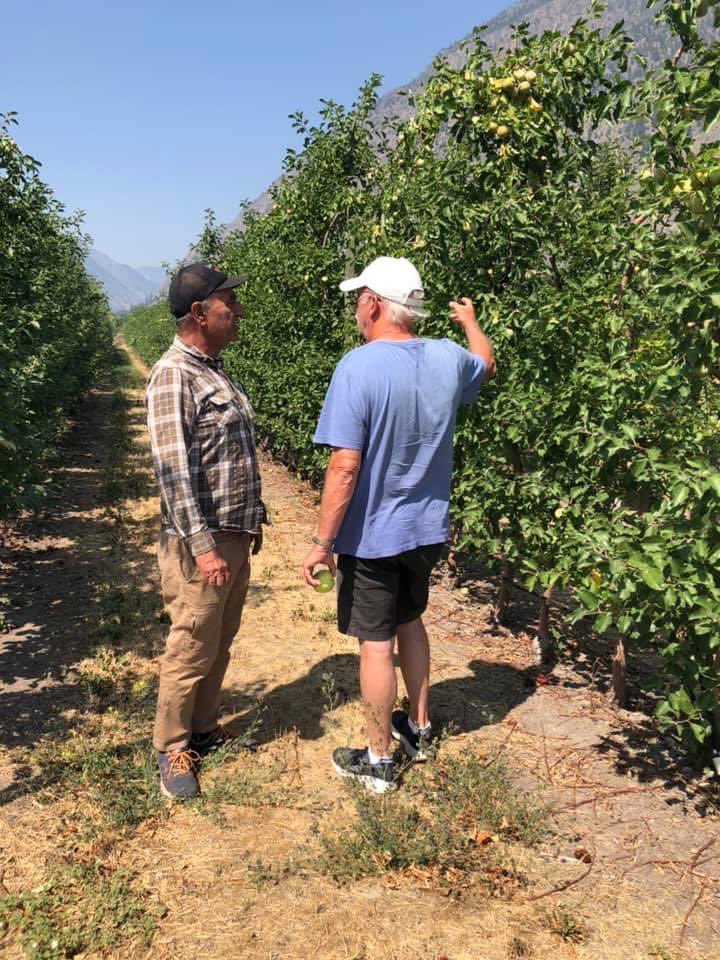 IanPatonDelta's tweet image. I visited some farmers in Keremeos. Paul told a similar story to what I’ve been hearing from fruit growers in the region. Burnt apples, heat damage to cherries &amp;amp; unprecedented labour shortages. Please support our hard working farmers by purchasing BC grown fruit &amp;amp; vegetables.