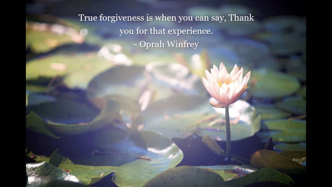 forgivenesspath's tweet photo. #forgive #forgiveness #forgiveyourself #forgivenesschallenge #forgivenessquotes #quotes #love #loveyourself #selflove #mistakesarelessons #thepathofforgiveness #peace #peaceandlove #oprah #oprahquote https://t.co/BVXdZFHry8