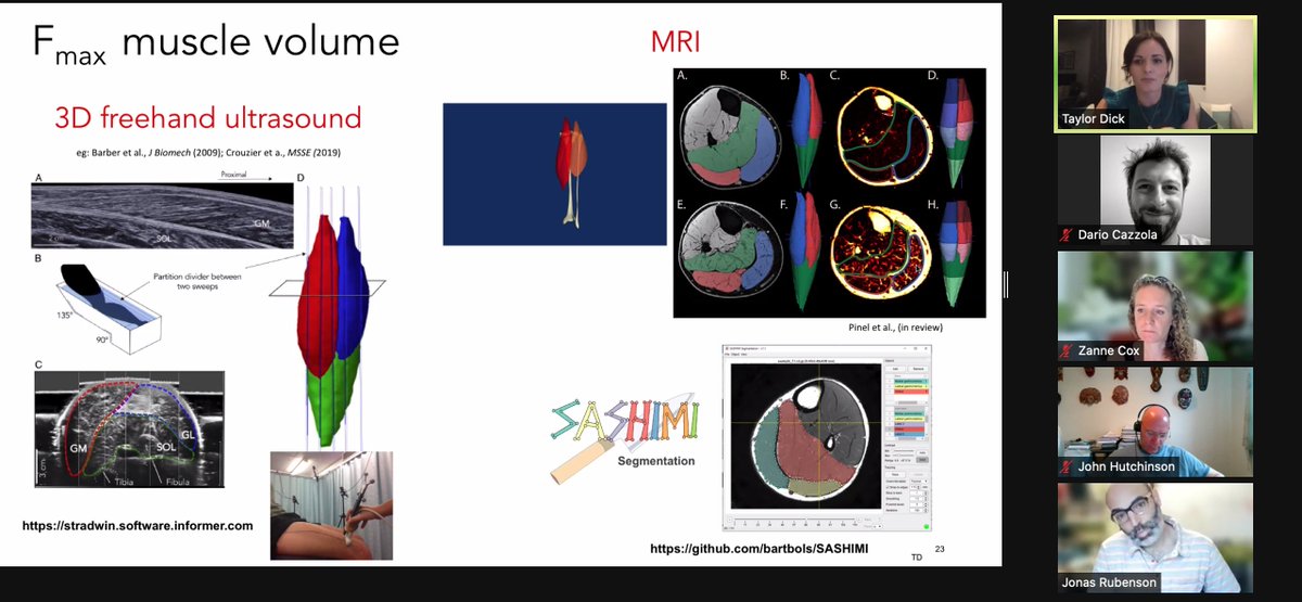 darione581's tweet image. The @ISB_2021 #imaging tutorial was a treat itself! Not only you explained how to use supercool tools for creating #MSKmodel from scratch but also provided incredibly user-friendly organised resources (code, models, templates) for the @ISBiomechanics community!