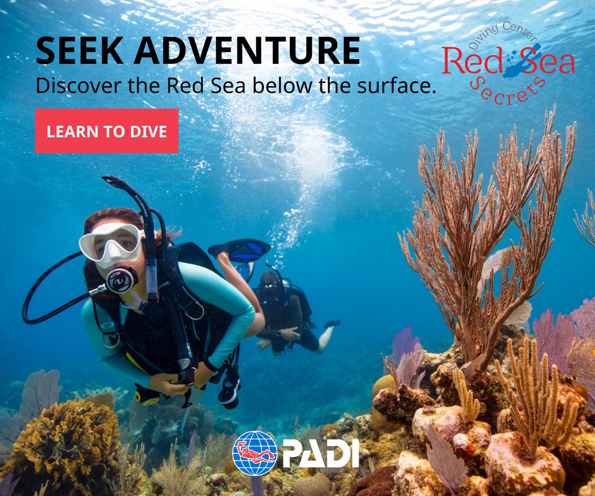 divingsd's tweet photo. Learn to dive and discover the Red Sea below the surface!
#scubadivingselfie #scuba #diving #scubadiving #underwaterselfieday #divingsd https://t.co/1eNV4Fc4eQ