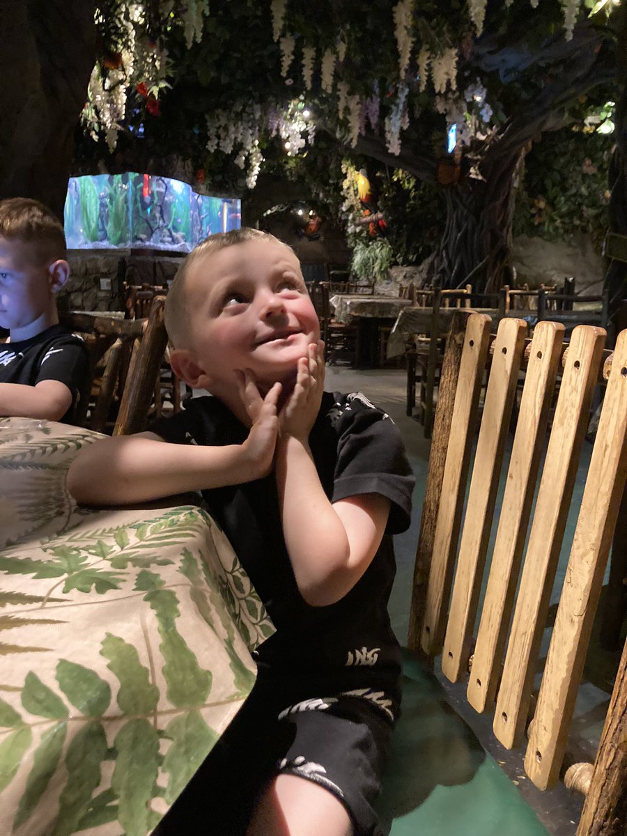 dmccollx's tweet photo. Had an amazing and delicious lunch in the the best restaurant!! If you are in #London you need to visit @RainforestCafe #TheRainforestCafe https://t.co/UIIcI3KSkk