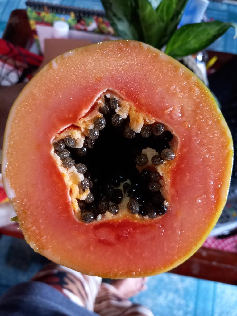 LeonyPermejo's tweet photo. It looks like ⭐🤤 #papaya #star #yummy #healthyfood https://t.co/EYzT0m5271