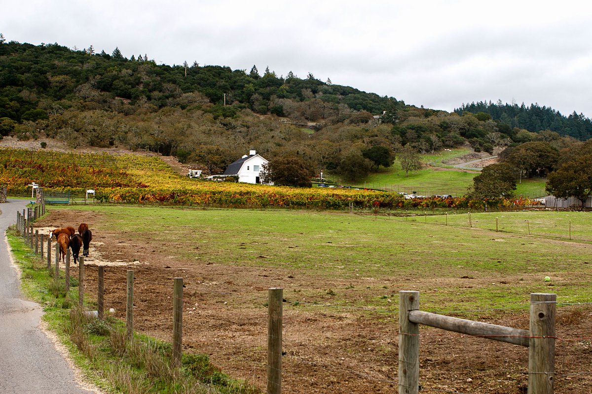 Visit Santa Rosa (@VisitSantaRosa) / Posts / X