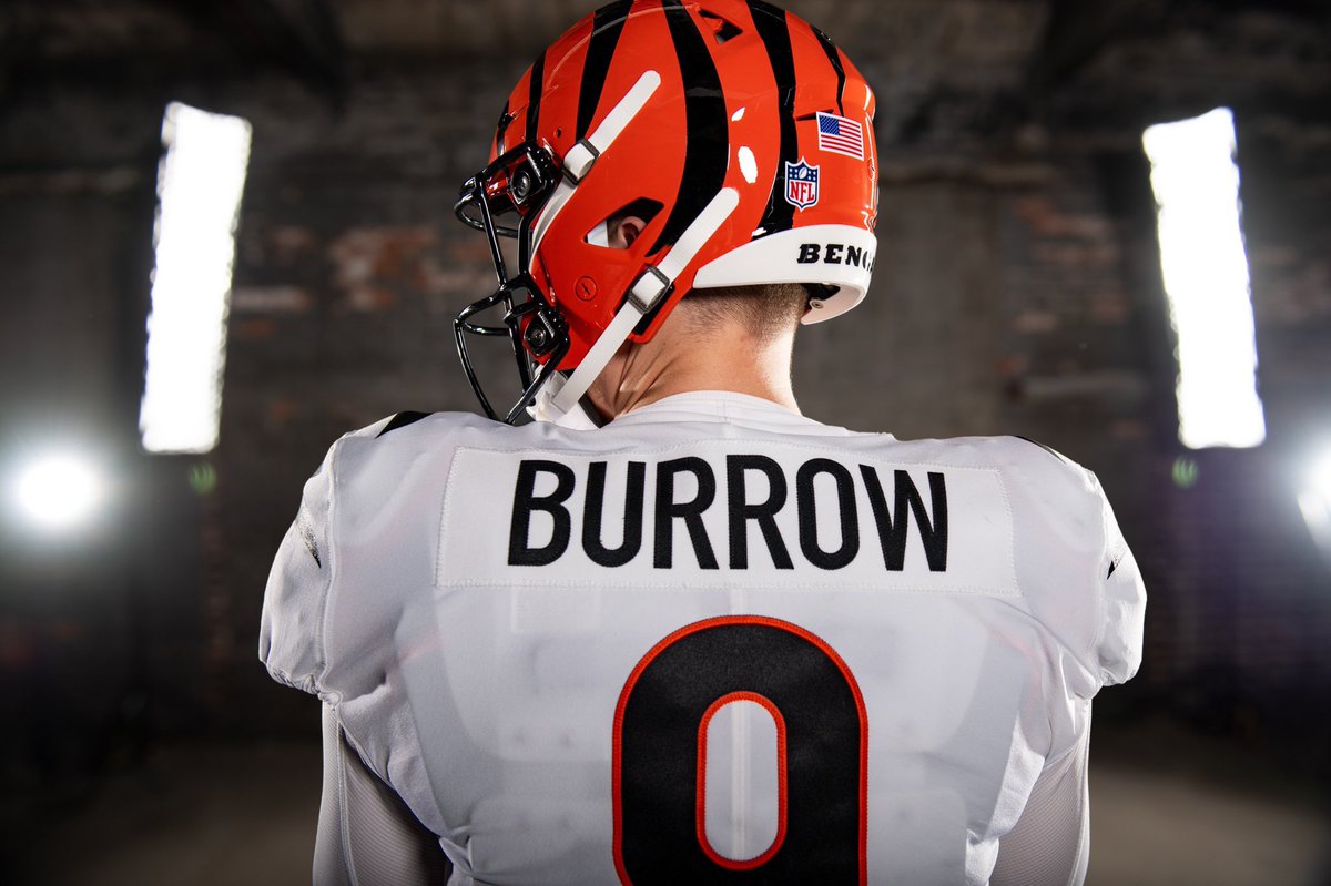 The Bengals will take the AFC North. Save this tweet.