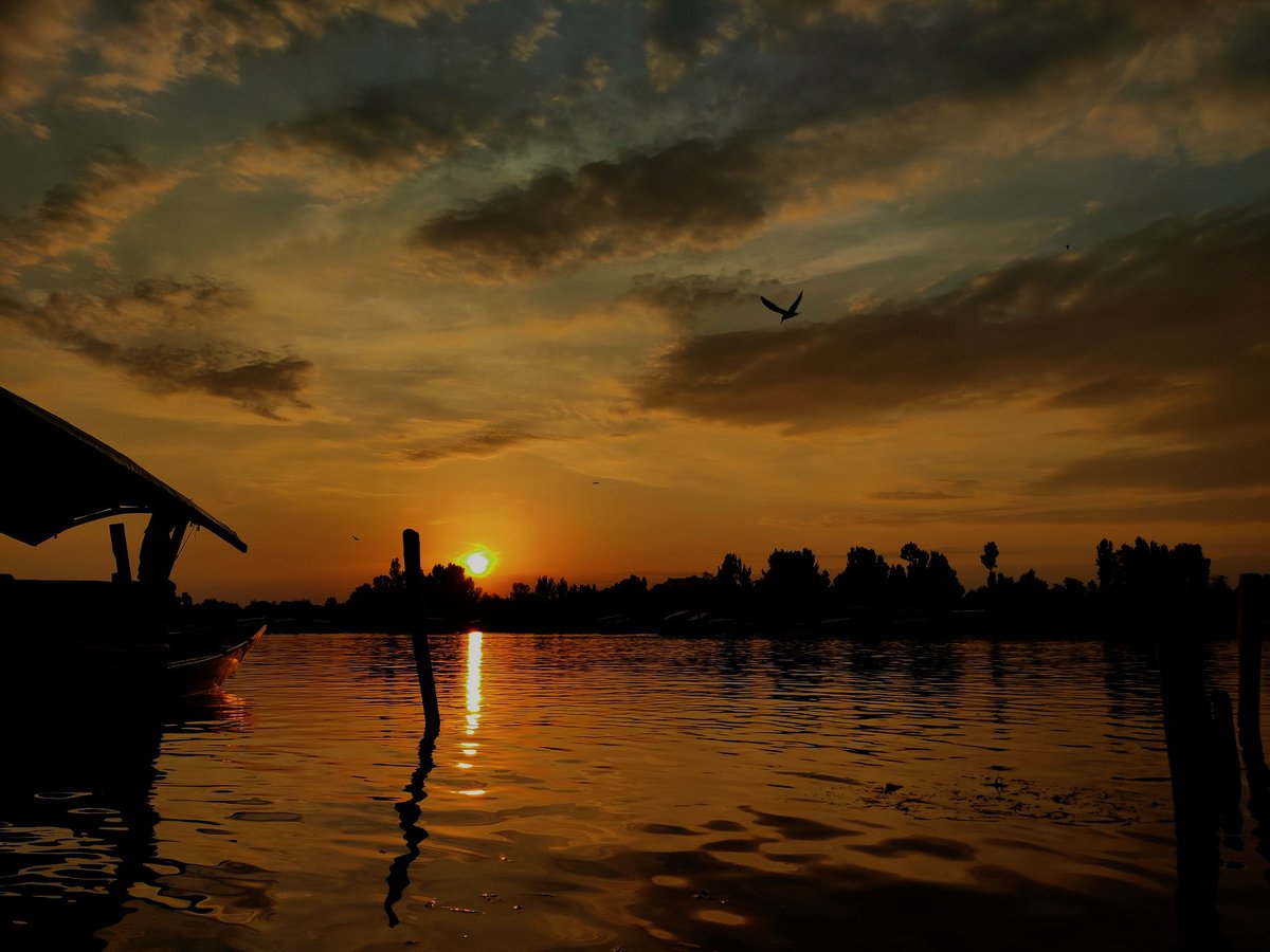 syedumar_____'s tweet photo. ##golden_hours #golden_sunset #dallake_srinagar #srinagar #kashmir #random_photography #random_clicks #shikaras #peace #toursim_kashmir #follow_me https://t.co/19Zs7yVn3J