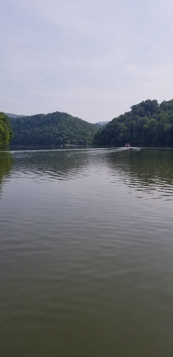 knoxroadtripper's tweet photo. Wonderful morning checking out Eastport Marina on Dale Hollow Lake in Pickett County. Such a beautiful spot. #lake #travel https://t.co/8k1IL8V6O3