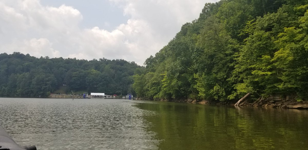 knoxroadtripper's tweet photo. Wonderful morning checking out Eastport Marina on Dale Hollow Lake in Pickett County. Such a beautiful spot. #lake #travel https://t.co/8k1IL8V6O3