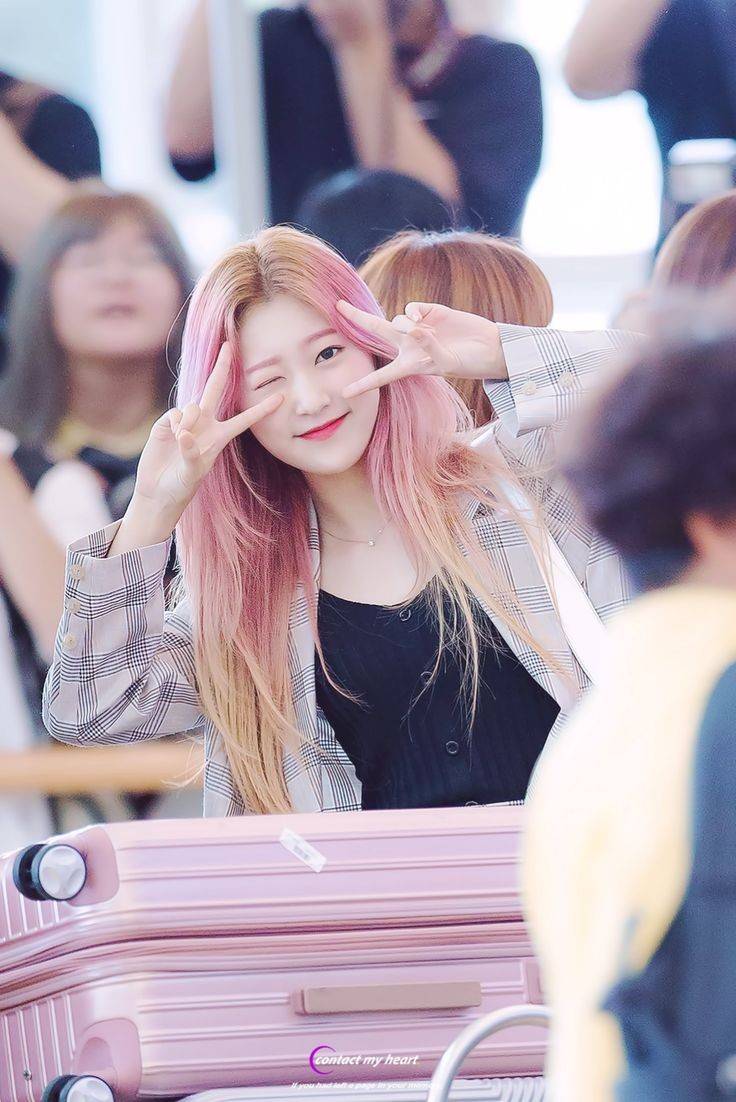 choerryhour's tweet photo. https://t.co/rUEbCu1DjY