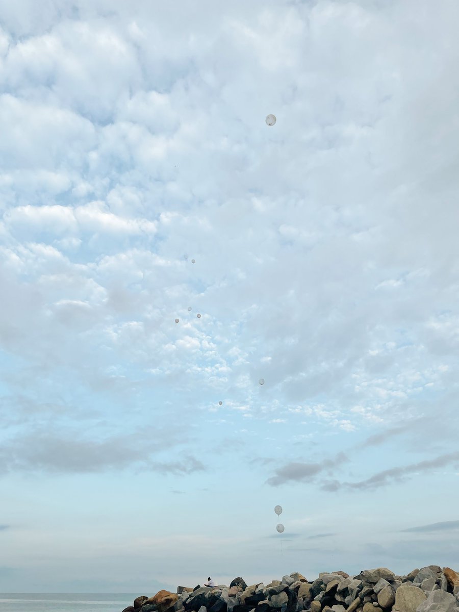 Ivana🦋 tweet media