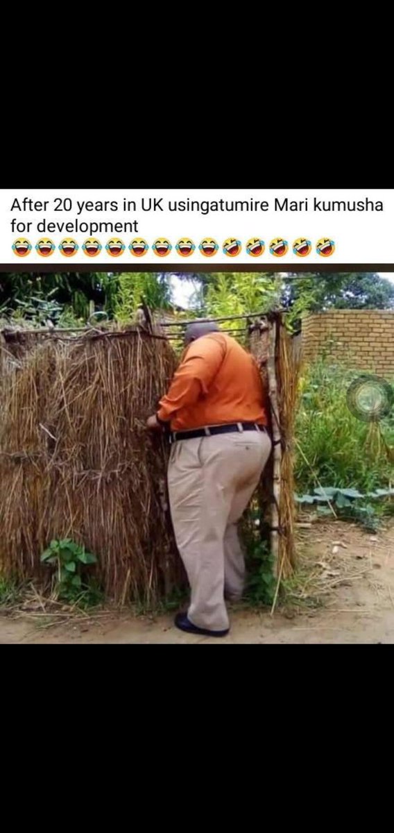 FlamesFlocka's tweet image. 