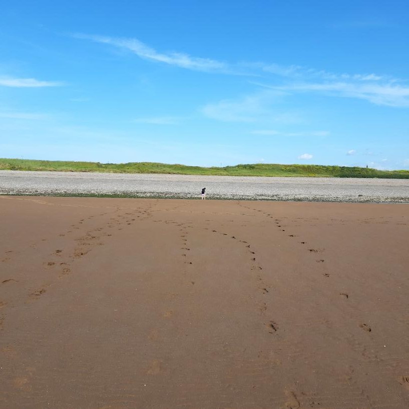 Footprints of me and mine, just before we hit the sewage outlet!