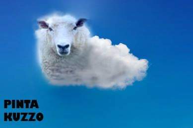 pintakuzzo's tweet photo. PHOTOSHOP 
#CuteSiopaoCat #SiopaoCat #BreadDog #DandeLion #LambCloud #PintaKuzzo https://t.co/IEK6yf1HdL