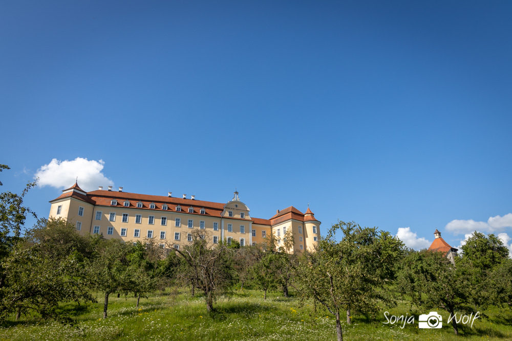 SonjaHWolf's tweet photo. Schloss ob Ellwangen
Mein Bild der Woche 29/2021 bei https://t.co/zIz3TpLLeN

#WeeklyPic #WeeklyPicde #WeeklyPicde2021 #WeeklyPic2021 
#sonjafotografiert https://t.co/NLTp85YWUJ
