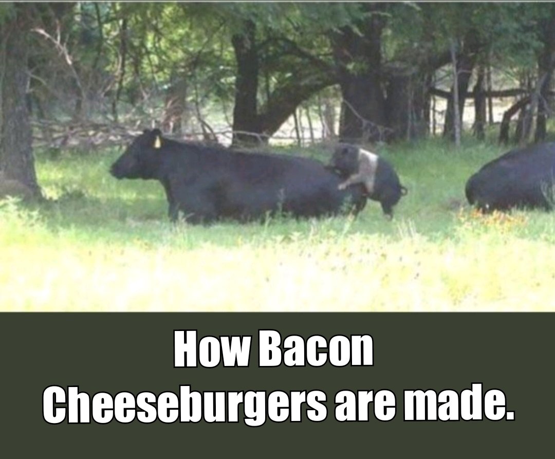 ImGame20's tweet image. 