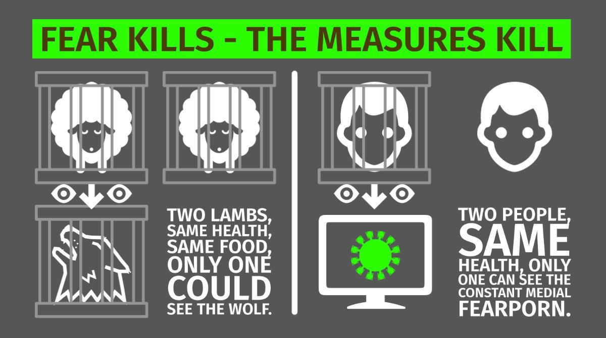 Знаменитый эксперимент авиценны двух ягнят огэ. Ягненок на руках. Знаменитый эксперимент авиценны двух ягнят огэ. Ягненок на плечах. Авиценна опыт с ягненком.