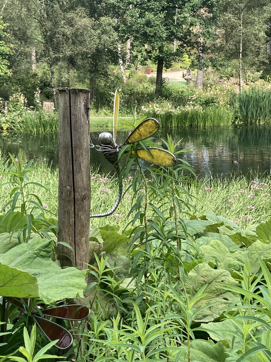 tammini25's tweet photo. A lovely day out at @The_Hutts Himalayan Garden & Sculpture Park, a hidden gem in #northyorkshire #willgoagain #outdoors #freshair #greenspace https://t.co/TfDuYBMSOp