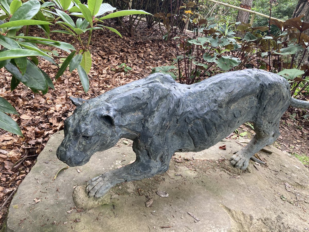 tammini25's tweet photo. A lovely day out at @The_Hutts Himalayan Garden & Sculpture Park, a hidden gem in #northyorkshire #willgoagain #outdoors #freshair #greenspace https://t.co/TfDuYBMSOp