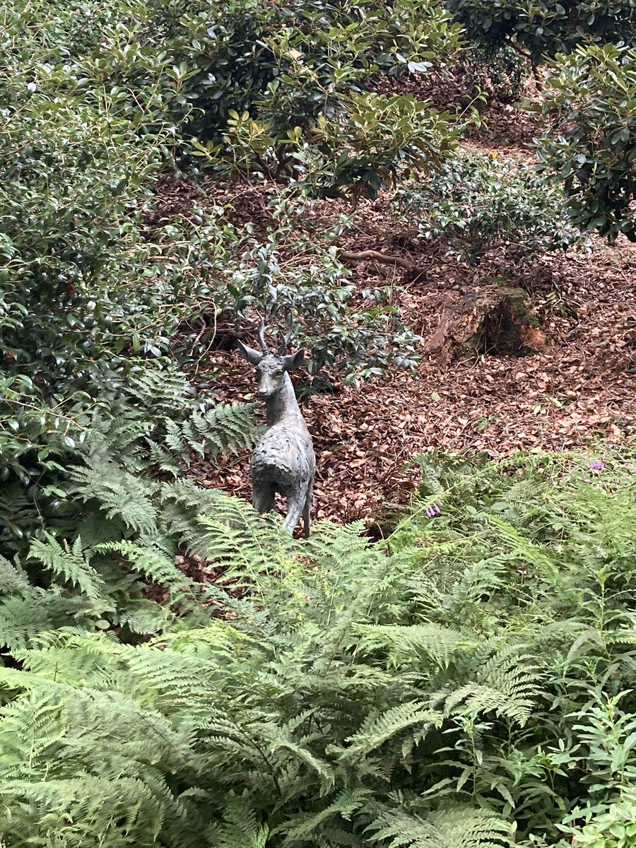 tammini25's tweet photo. A lovely day out at @The_Hutts Himalayan Garden & Sculpture Park, a hidden gem in #northyorkshire #willgoagain #outdoors #freshair #greenspace https://t.co/TfDuYBMSOp