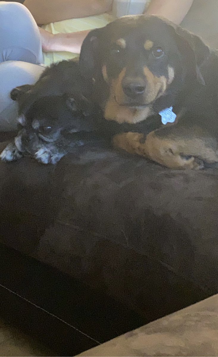 I am a handsome boi