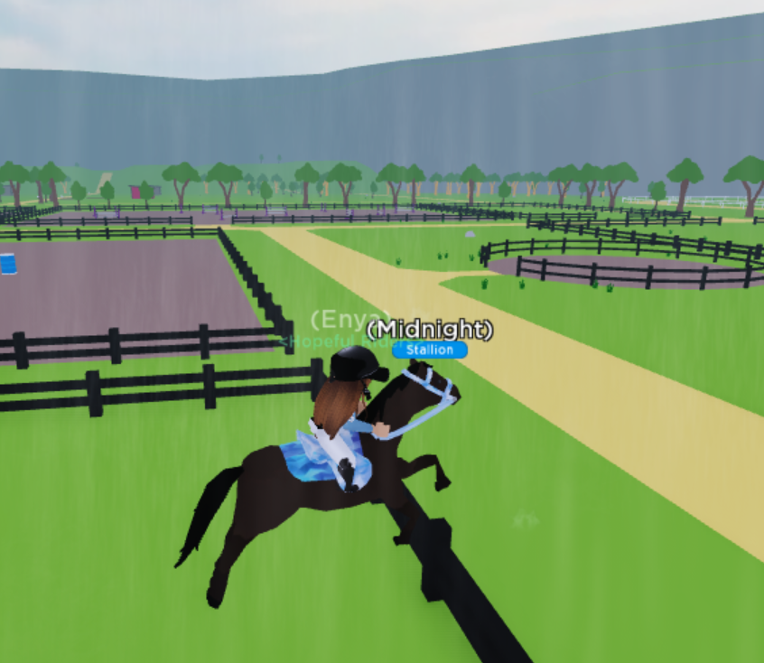 Midnight in cross country doing some eventing practice, he's been coming on so much recently🥰