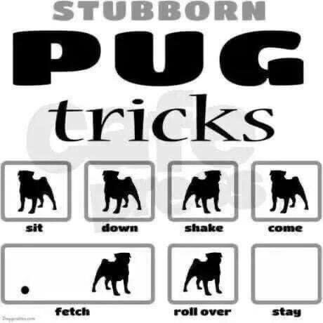 Koal98011's tweet image. 