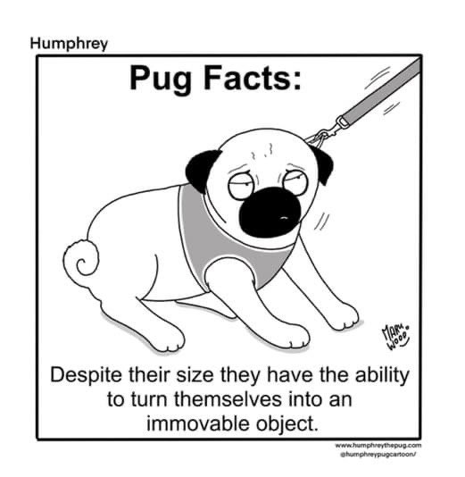 Koal98011's tweet image. 