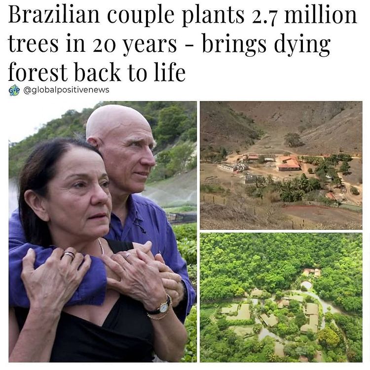 The world needs more people like them👏 Via: 📷 globalpositivenews #nature #positivenews #brainsharper