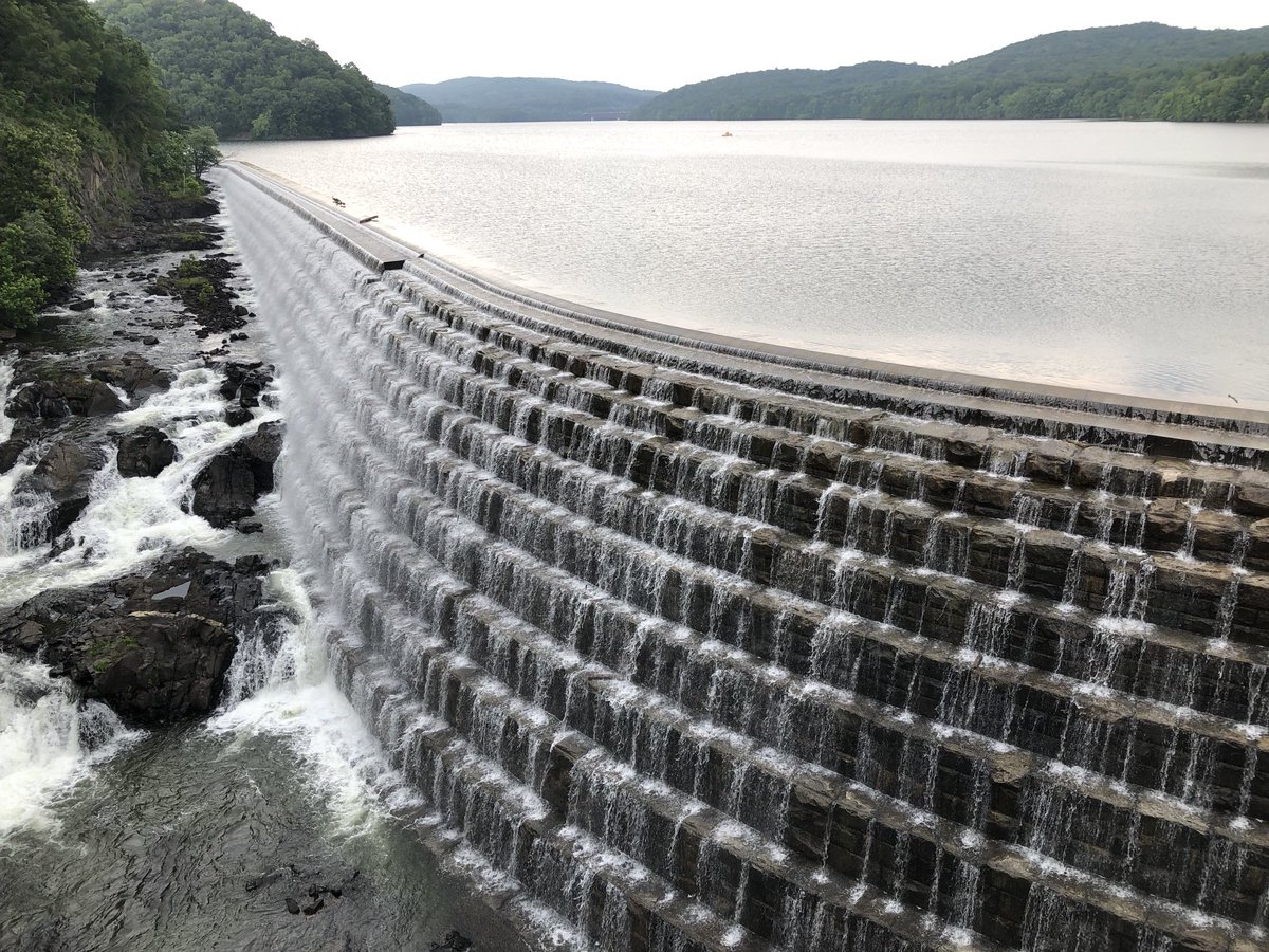 T.C. Boyle tweet media