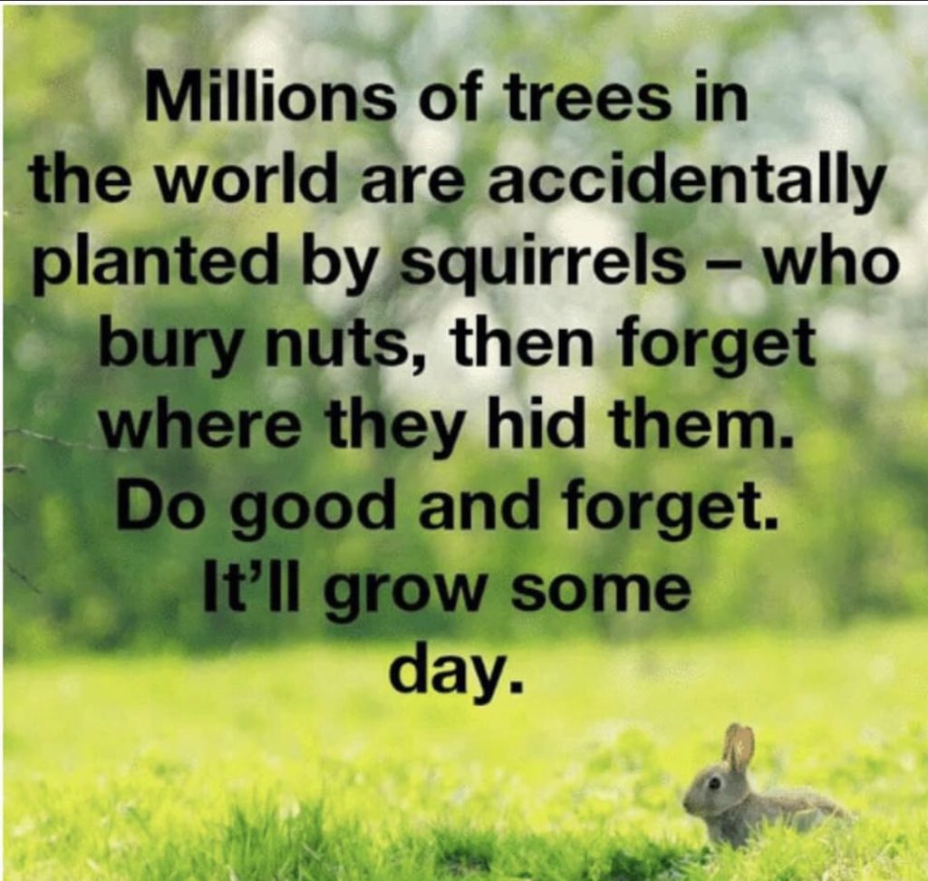 RHBDaveHowlett's tweet photo. #bethechange #3rdgear #payitforward https://t.co/SHGYjh4leU