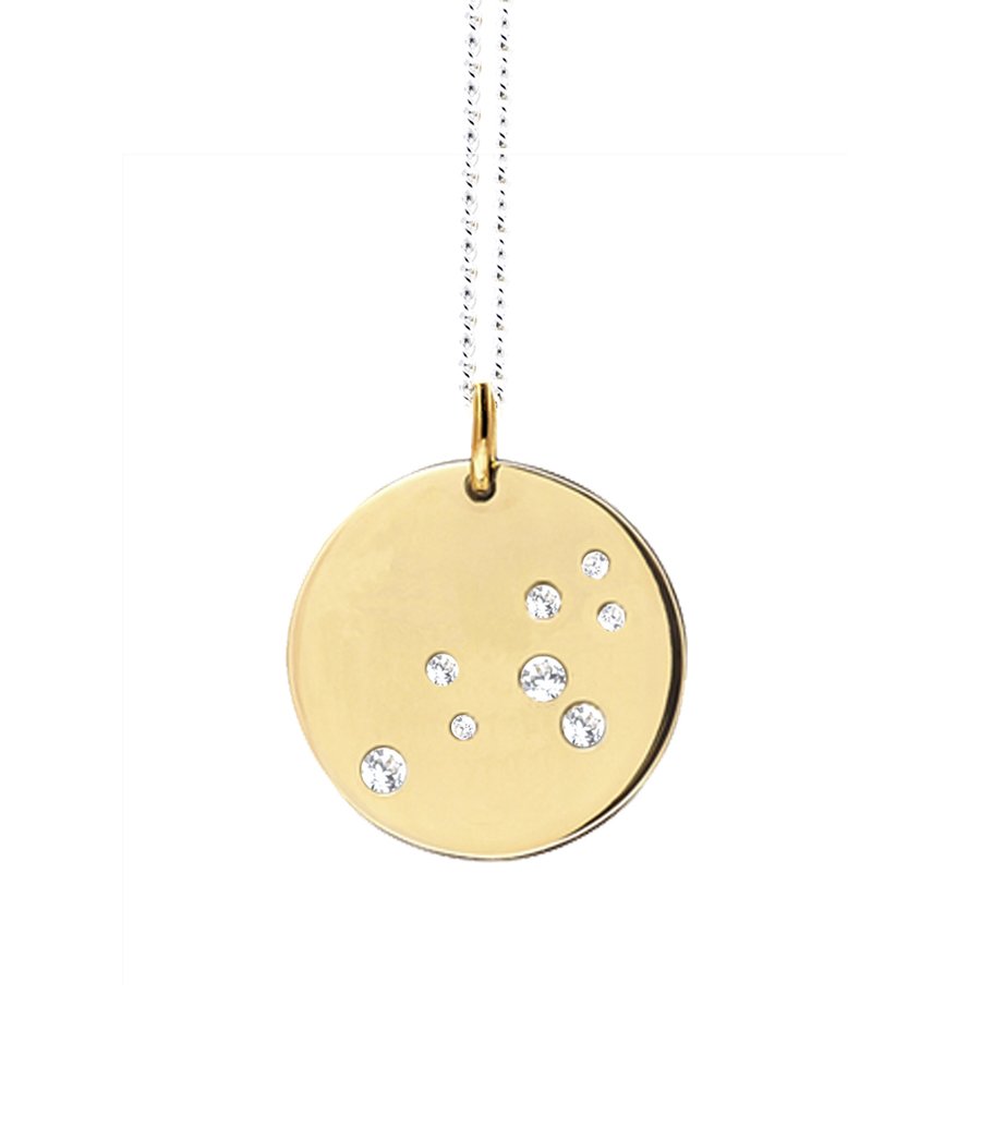 🦁 Happy Birthday Leo 🦁 (23rd July-22nd August) 🦁 Bring some love and luck to your summer with our zodiac pendants by @catherinezoraida